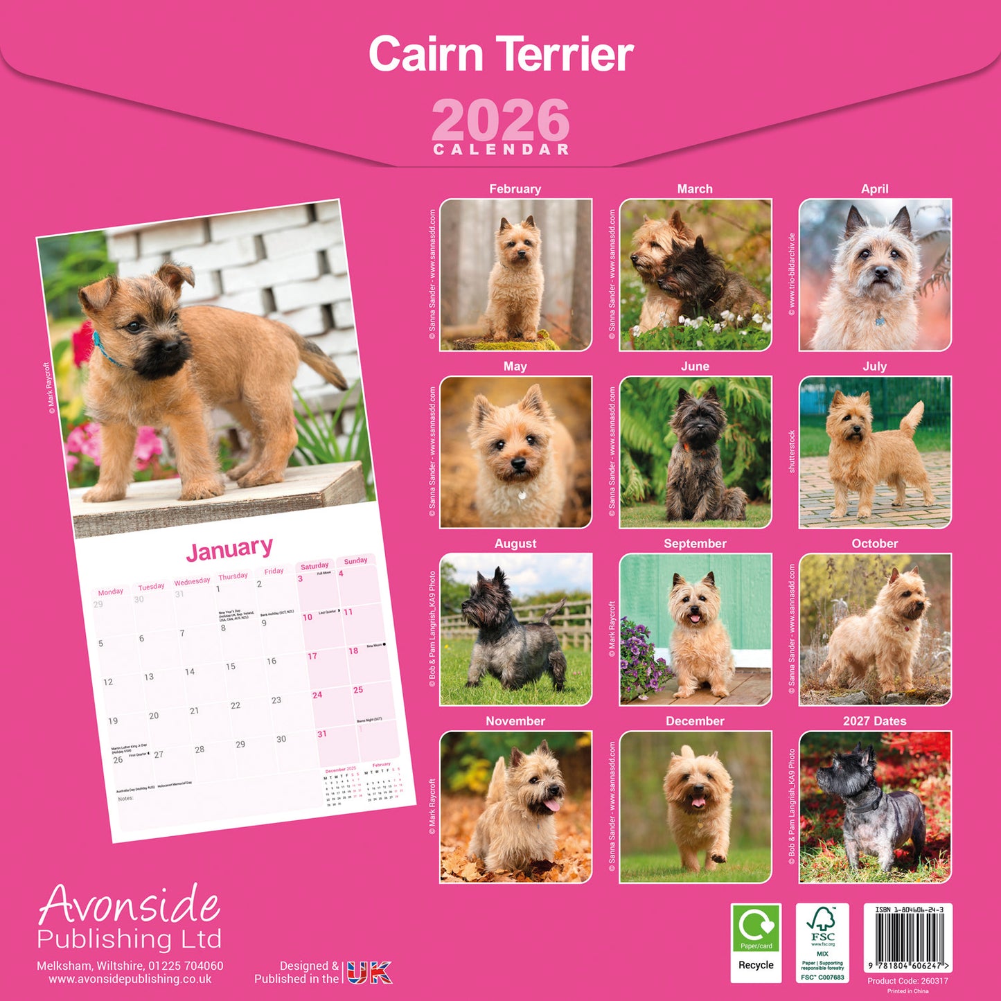 Cairn Terrier wall calendar 2026