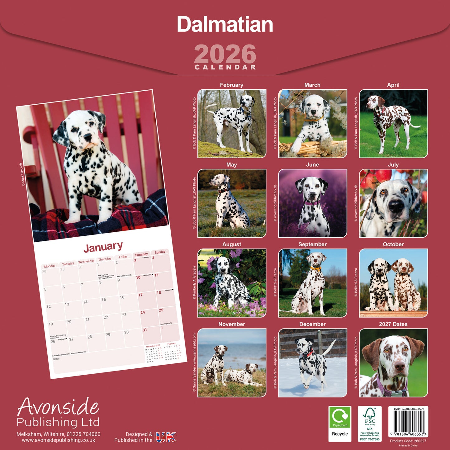 Dalmatian wall calendar 2026