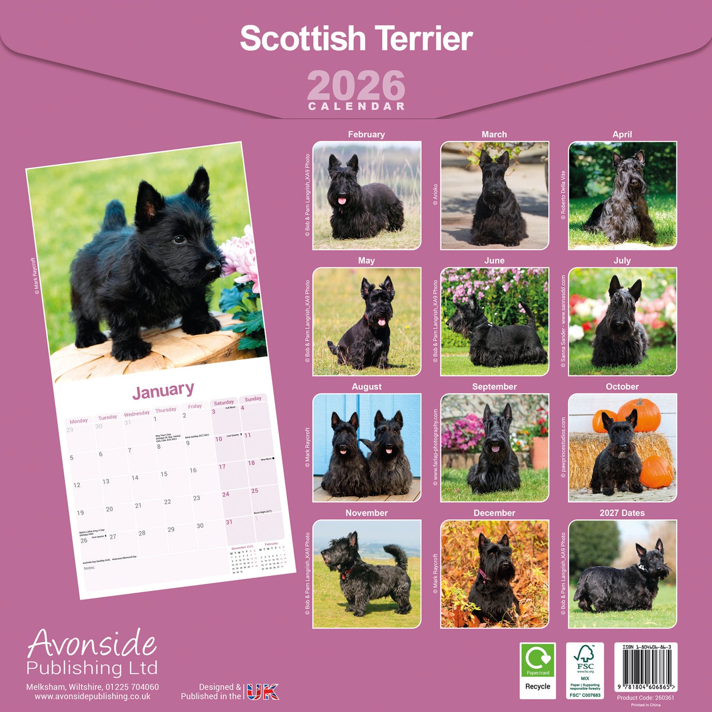 Scottish Terrier wall calendar 2026