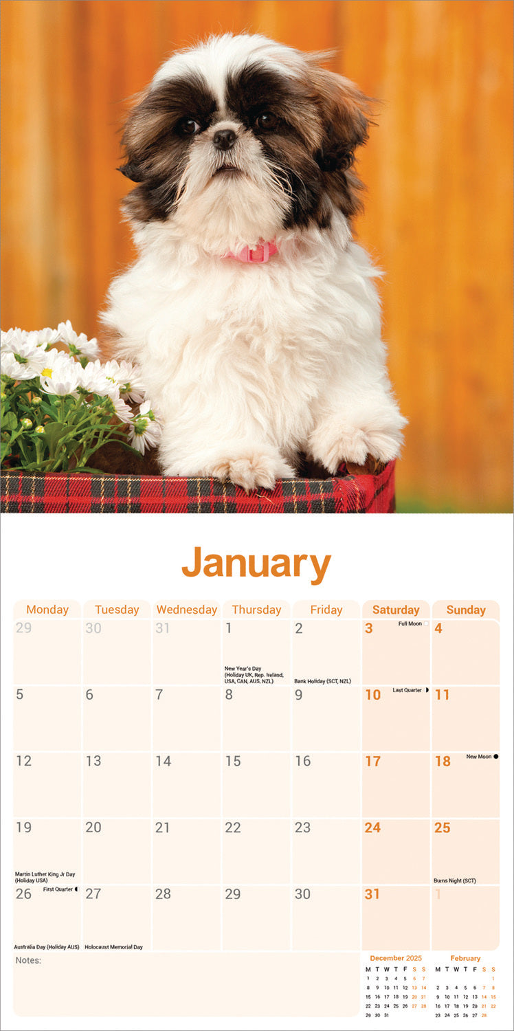 Shih Tzu wall calendar 2026