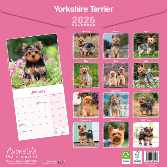 Yorkshire Terrier wall calendar 2026