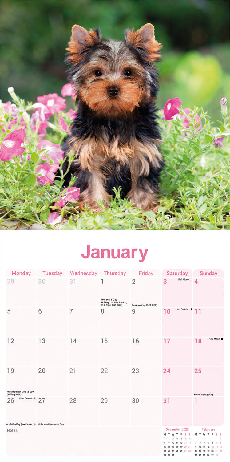 Yorkshire Terrier wall calendar 2026