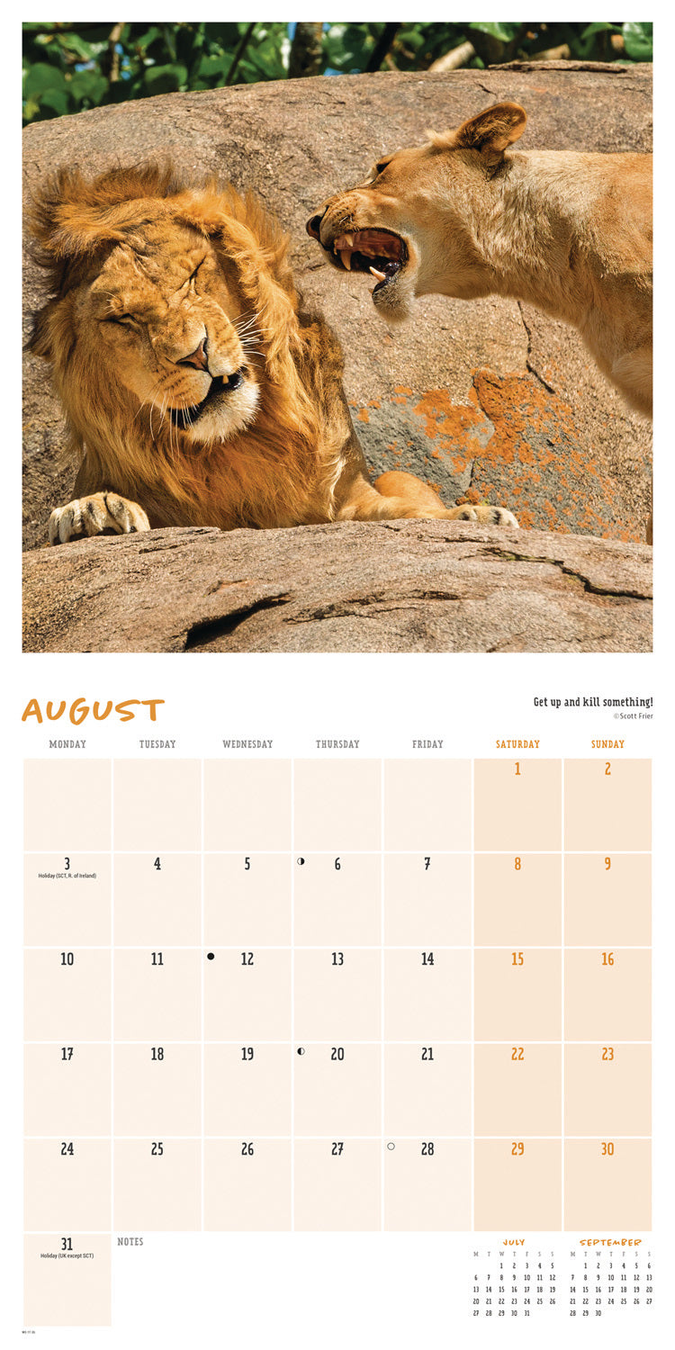 Comedy Wildlife Photo Awards wall calendar 2026