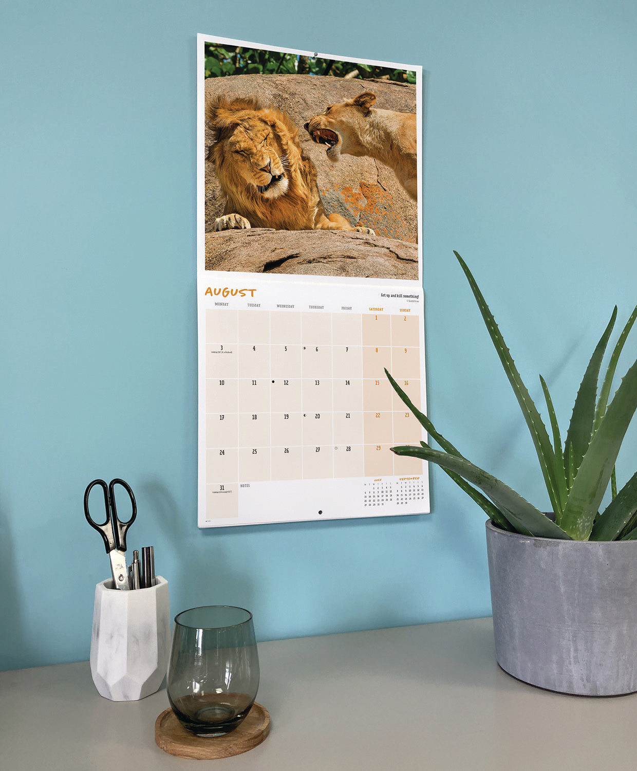 Comedy Wildlife Photo Awards wall calendar 2026