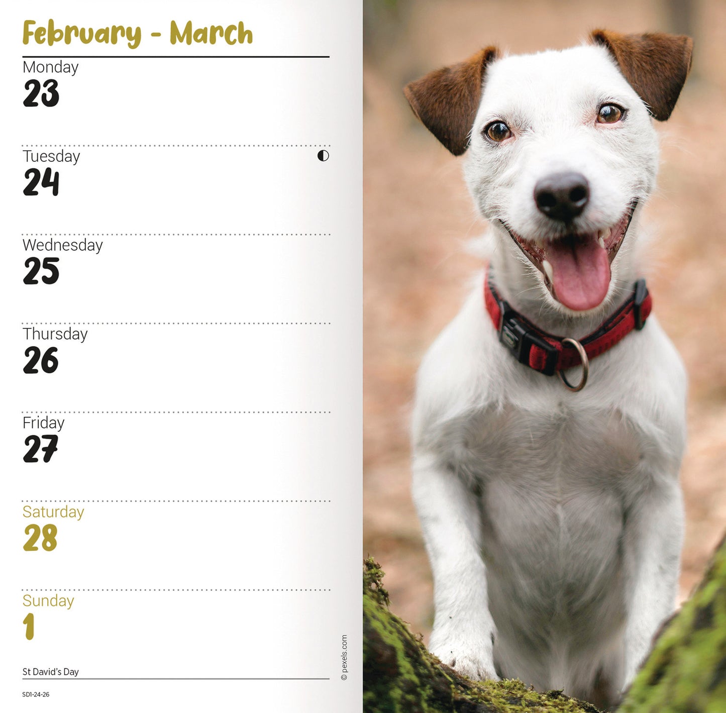 Jack Russell Slim Diary 2026