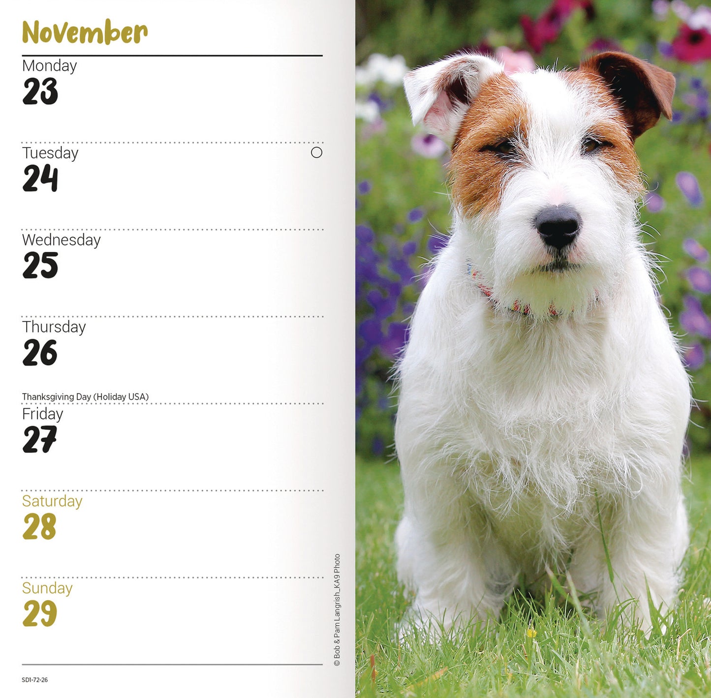 Jack Russell Slim Diary 2026