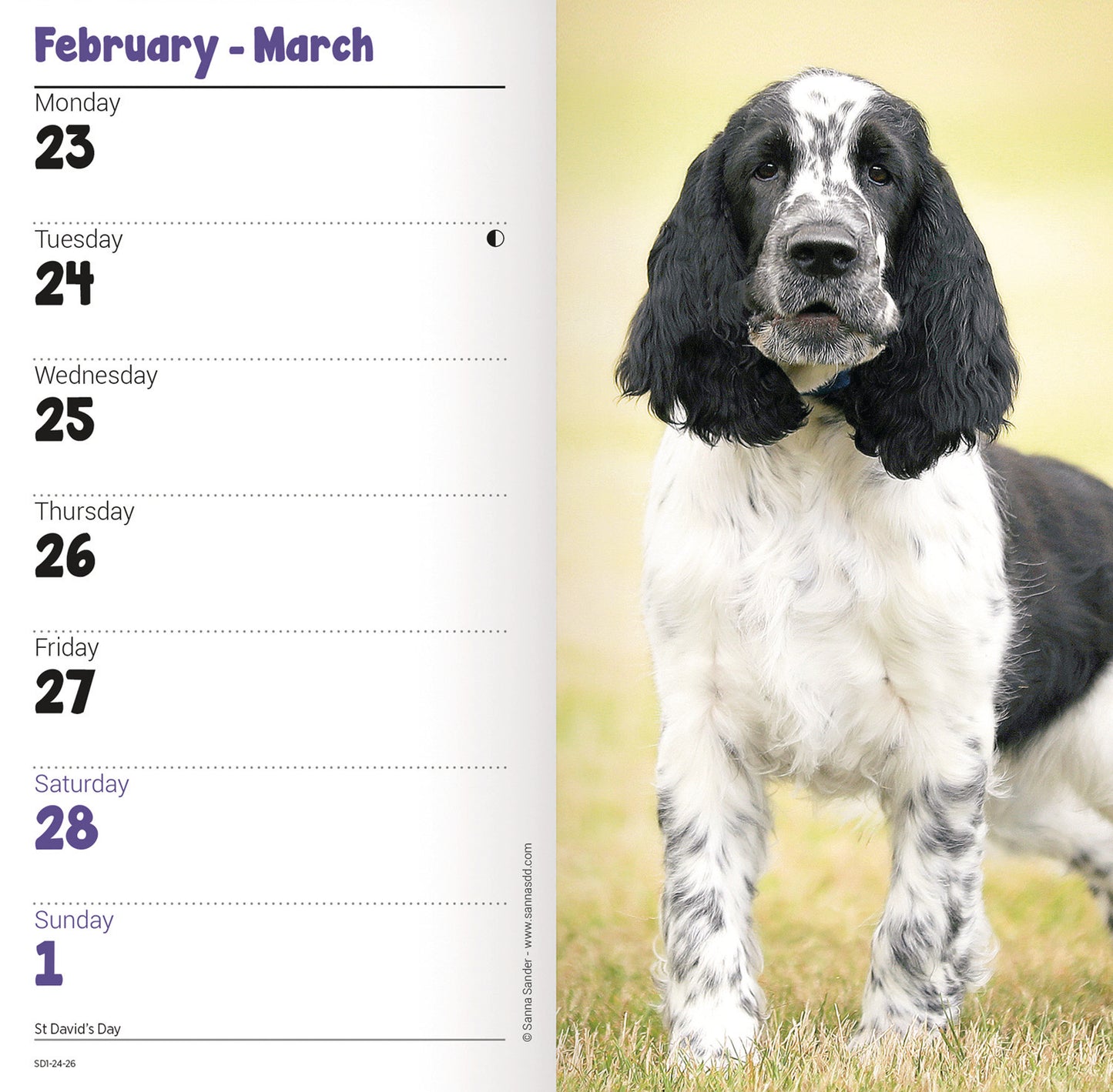 English Springer Spaniel Slim Diary 2026