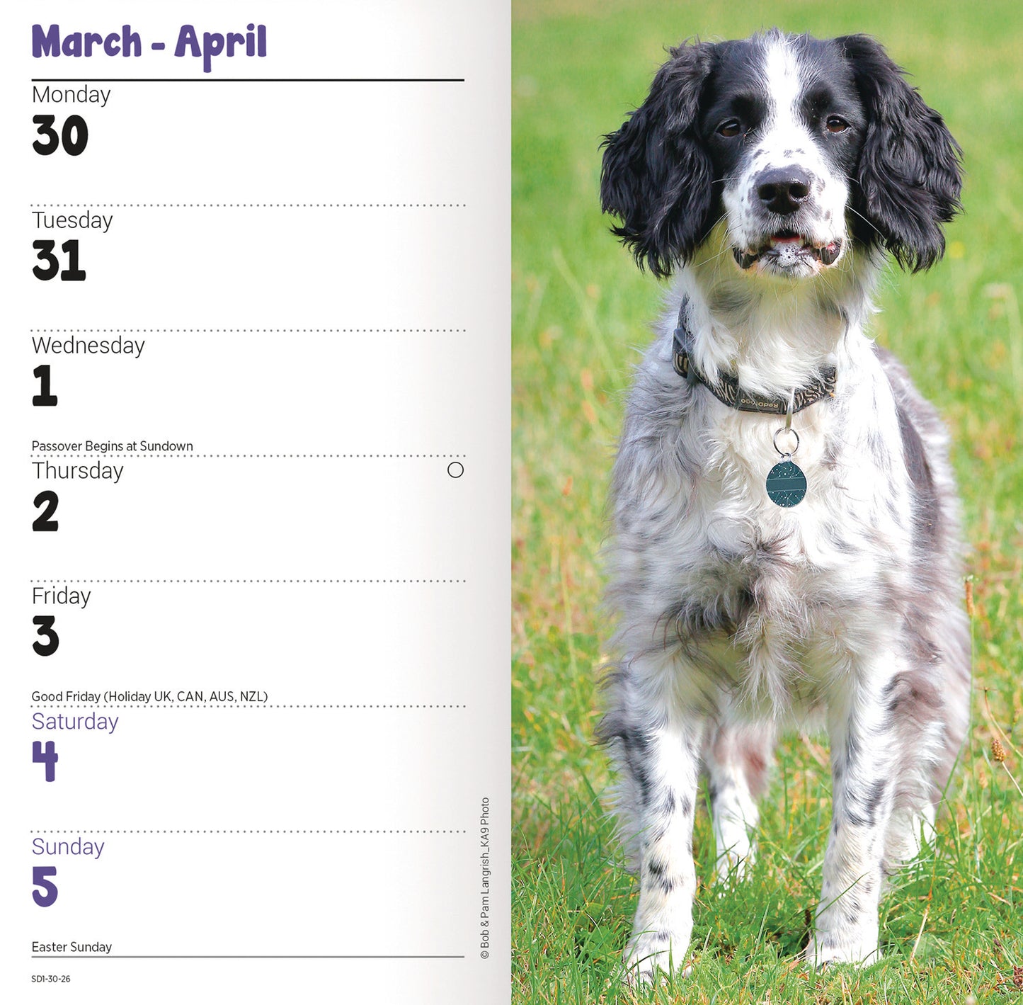 English Springer Spaniel Slim Diary 2026
