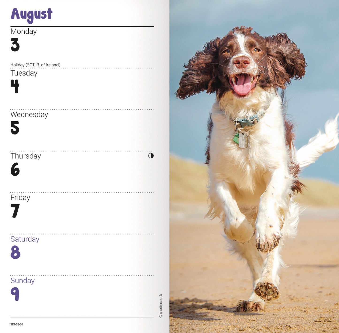 English Springer Spaniel Slim Diary 2026