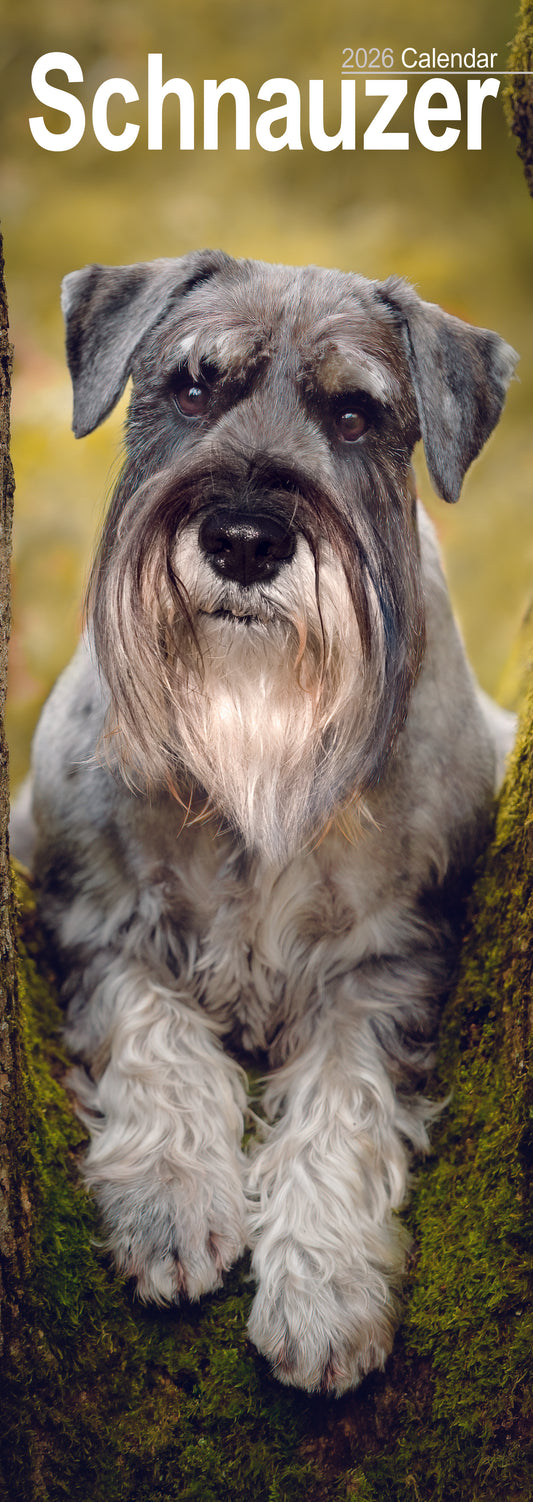 Schnauzer slim calendar 2026