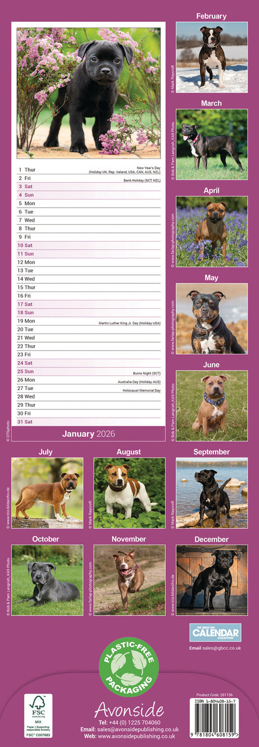 Staffordshire Bull Terrier slim calendar 2026