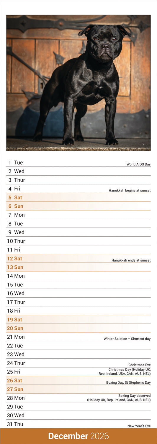 Staffordshire Bull Terrier slim calendar 2026