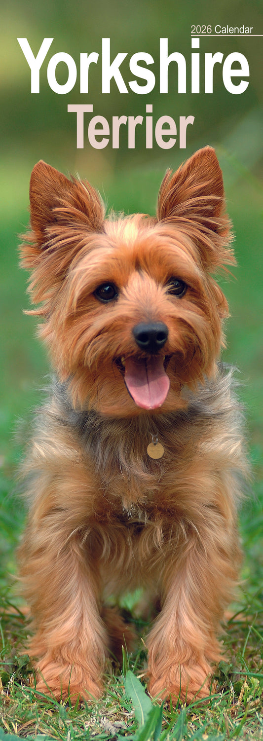 Yorkshire Terrier slim calendar 2026