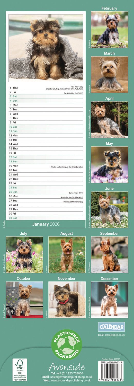 Yorkshire Terrier slim calendar 2026