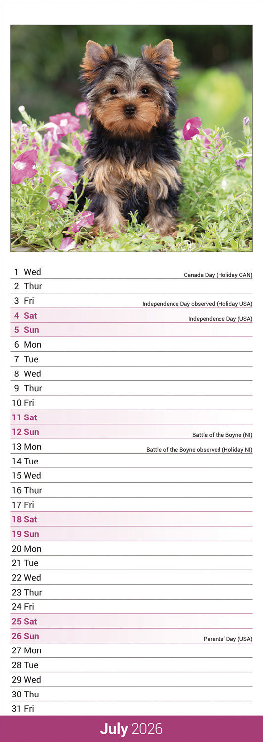 Yorkshire Terrier slim calendar 2026