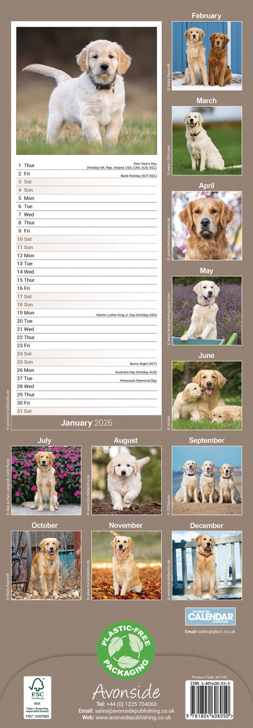 Golden Retriever slim calendar 2026