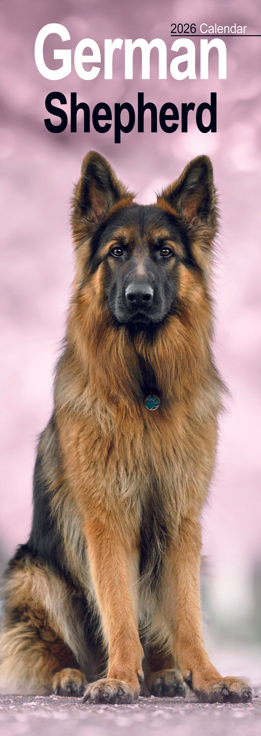 German Shepherd slim calendar 2026