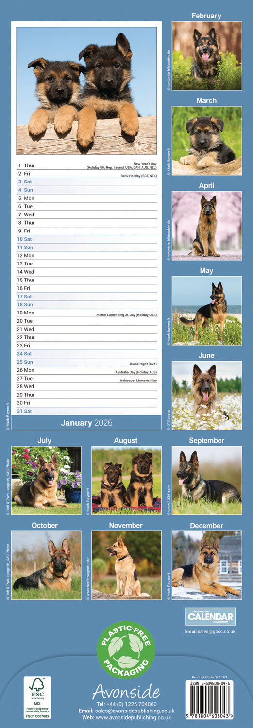 German Shepherd slim calendar 2026