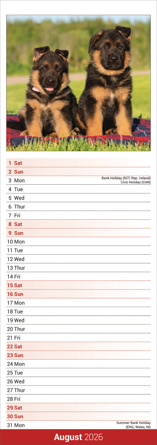 German Shepherd slim calendar 2026