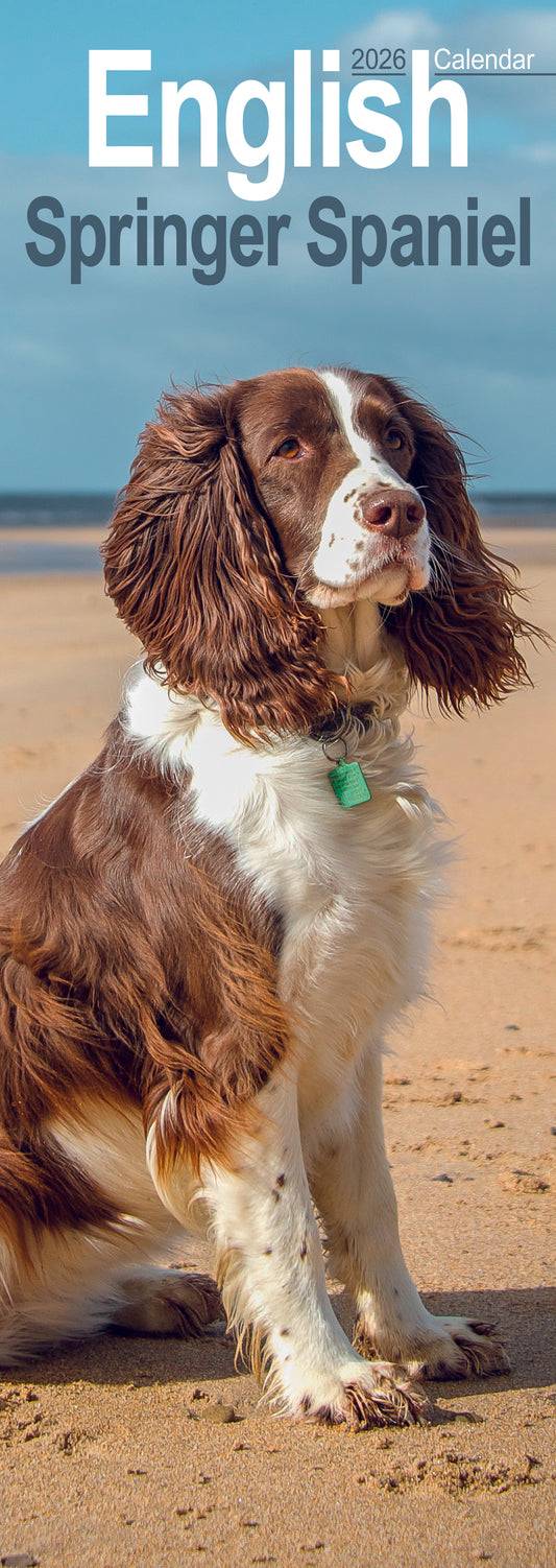 English Springer Spaniel slim calendar 2026