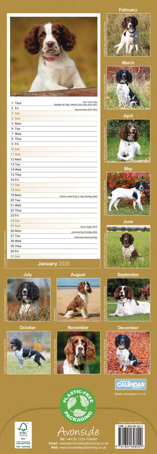 English Springer Spaniel slim calendar 2026