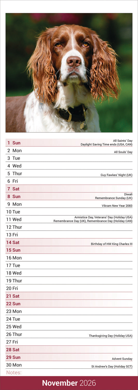 English Springer Spaniel slim calendar 2026