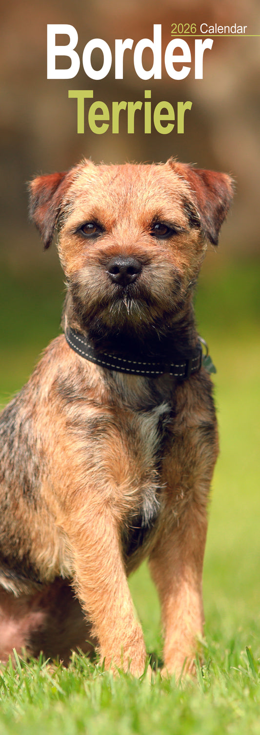 Border Terrier slim calendar 2026
