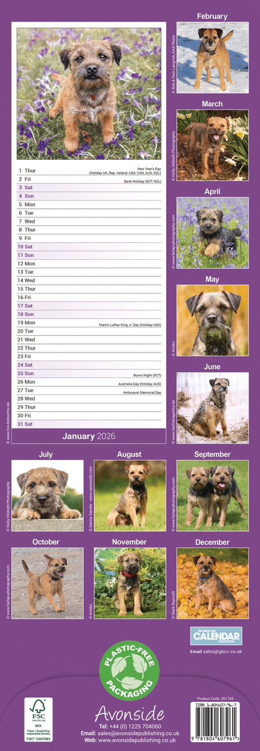 Border Terrier slim calendar 2026