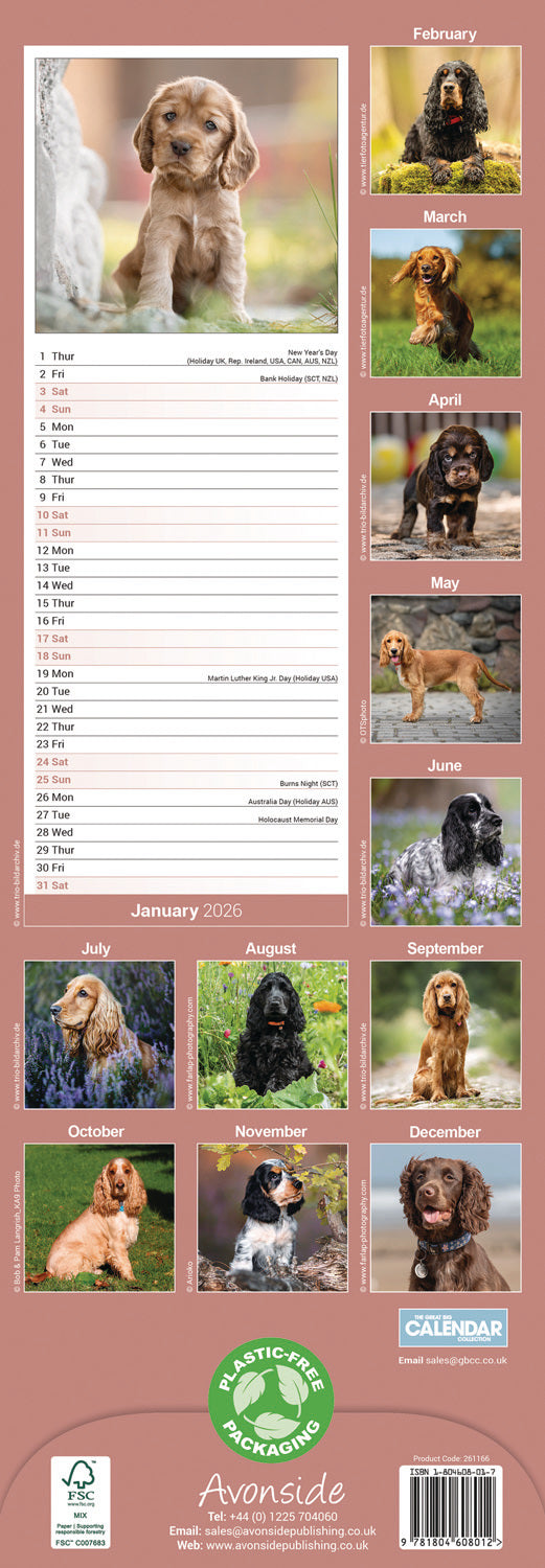 English Cocker Spaniel slim calendar 2026
