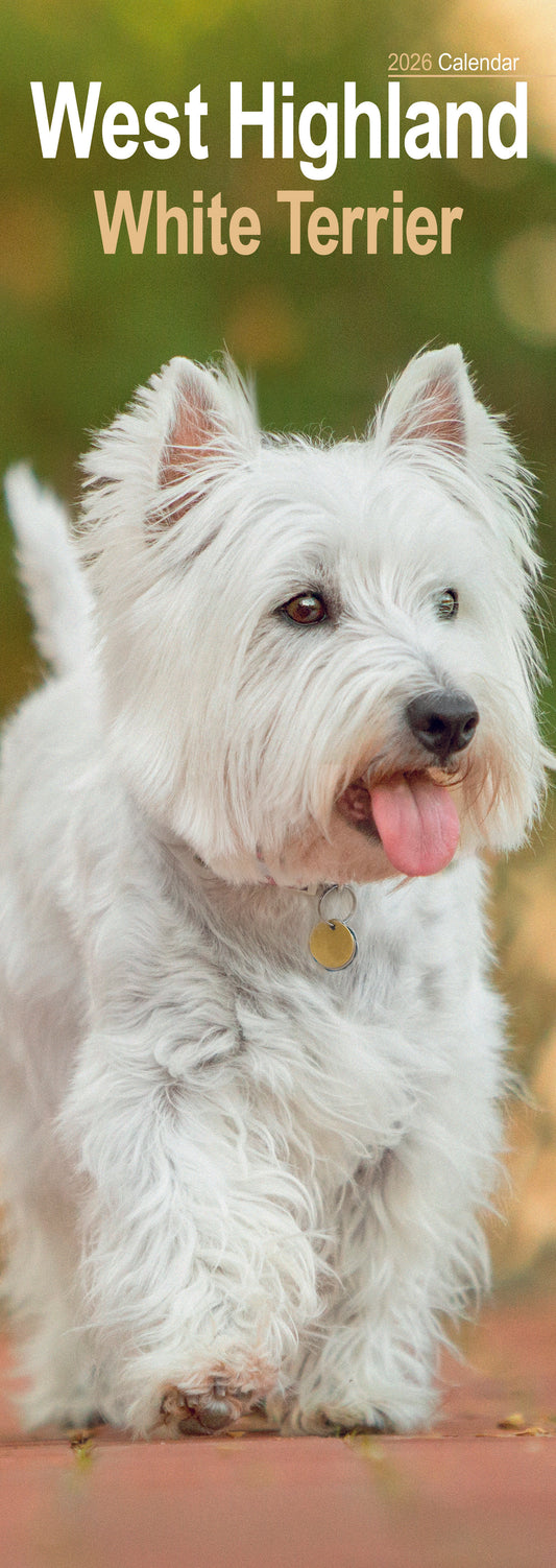 West Highland White Terrier slim calendar 2026