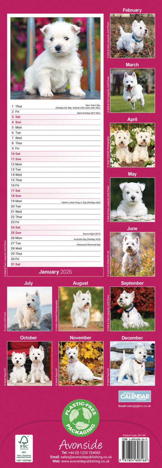 West Highland White Terrier slim calendar 2026