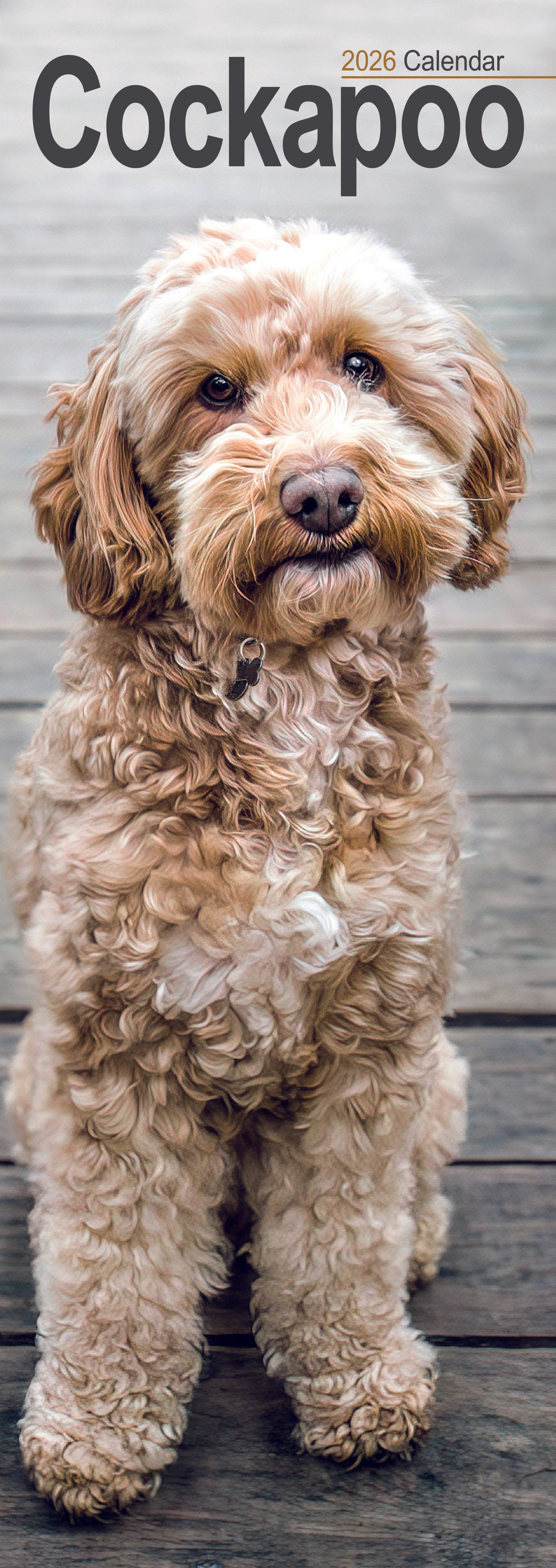 Cockapoo slim calendar 2026