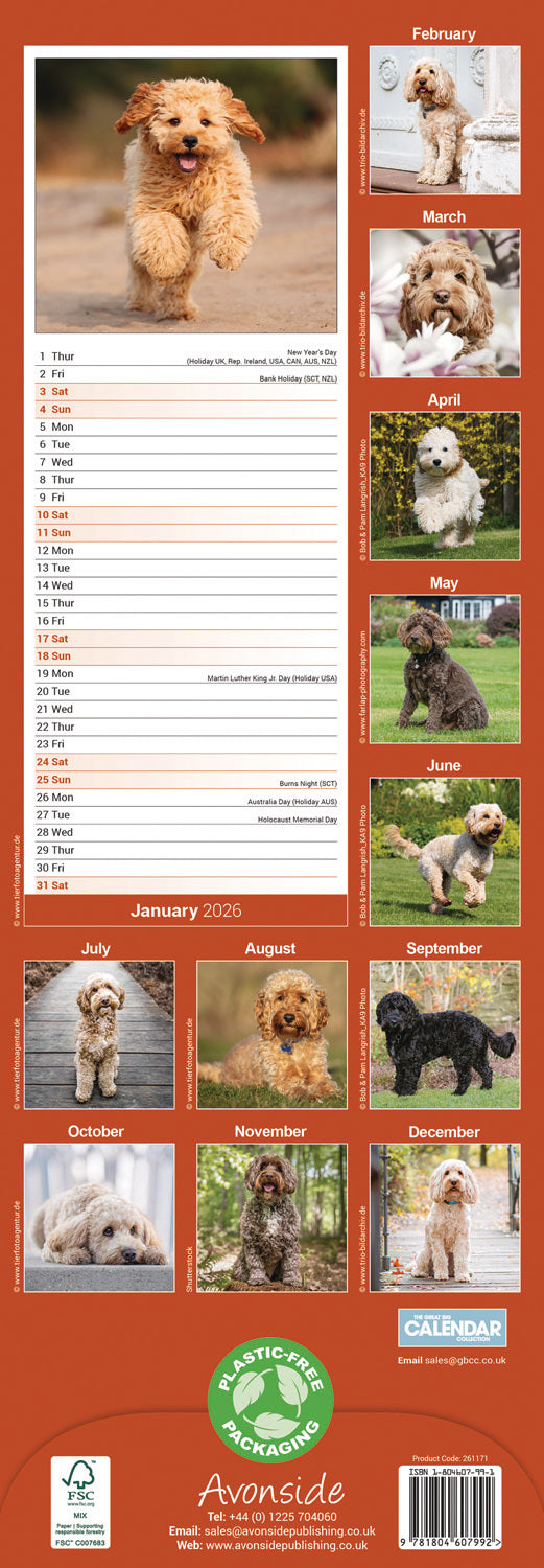 Cockapoo slim calendar 2026