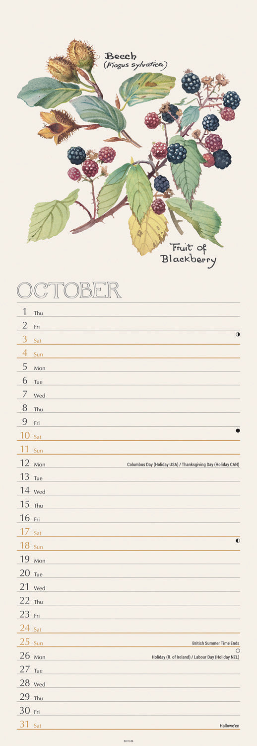 Country Diary, Edith Holden slim calendar 2026