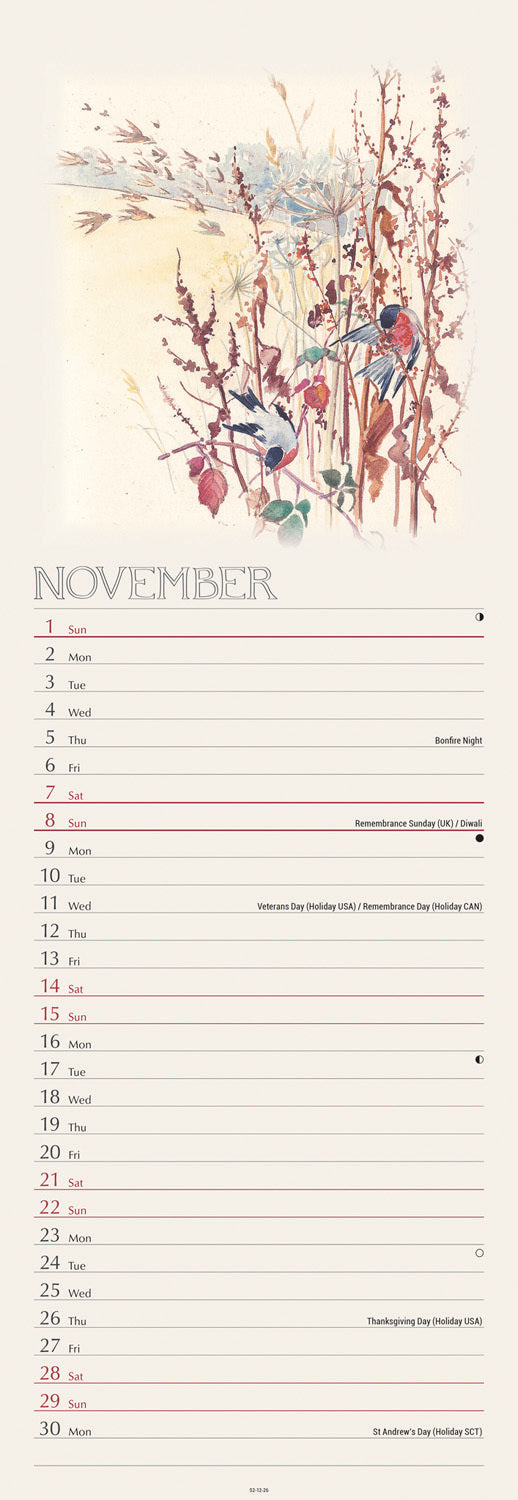 Country Diary, Edith Holden slim calendar 2026