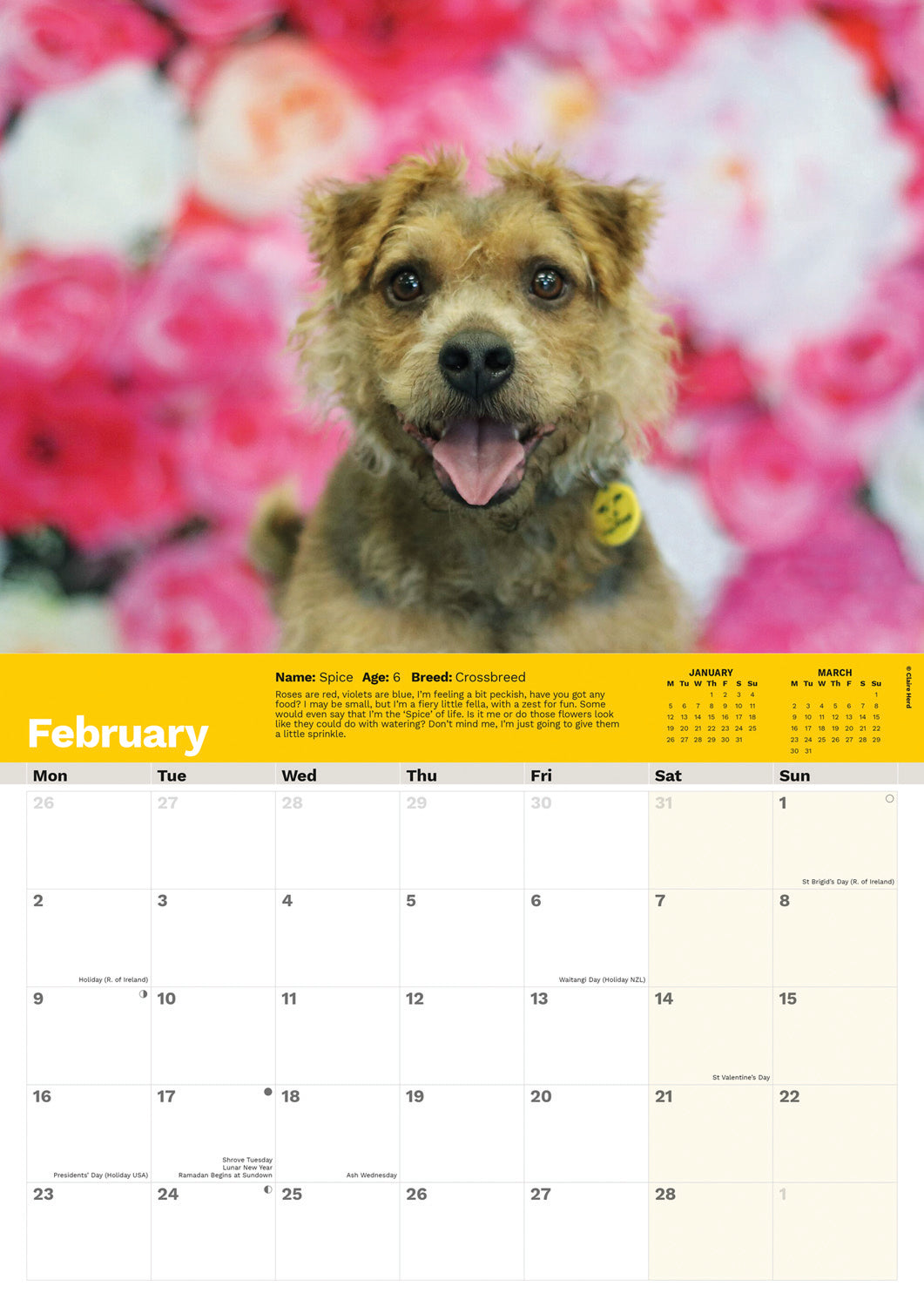 Dogs Trust A4 calendar 2026