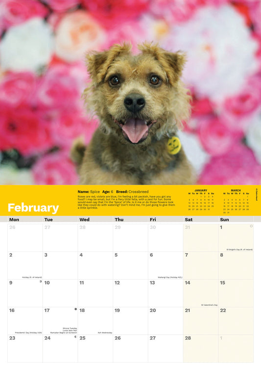 Dogs Trust A4 calendar 2026