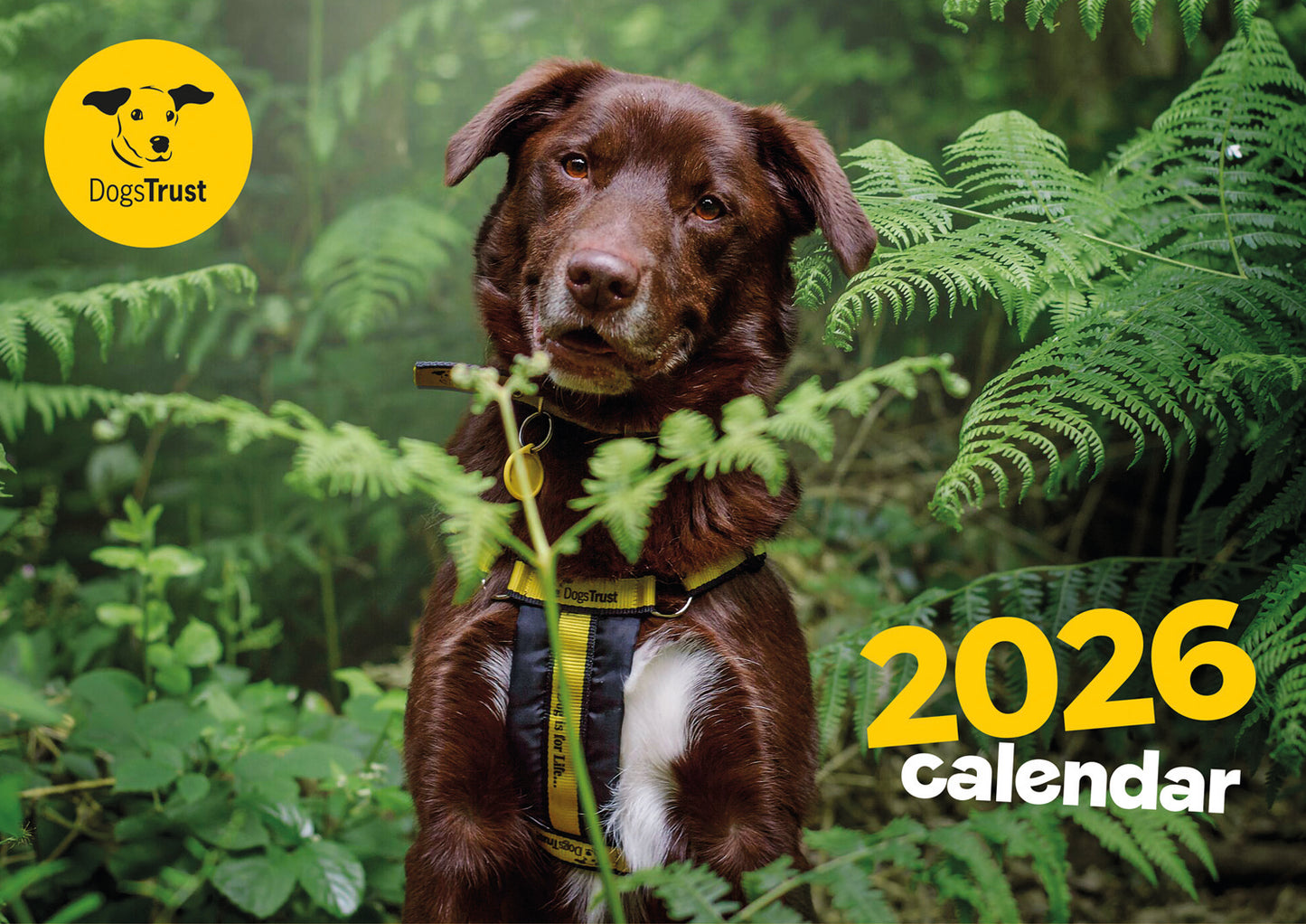 Dogs Trust A4 calendar 2026
