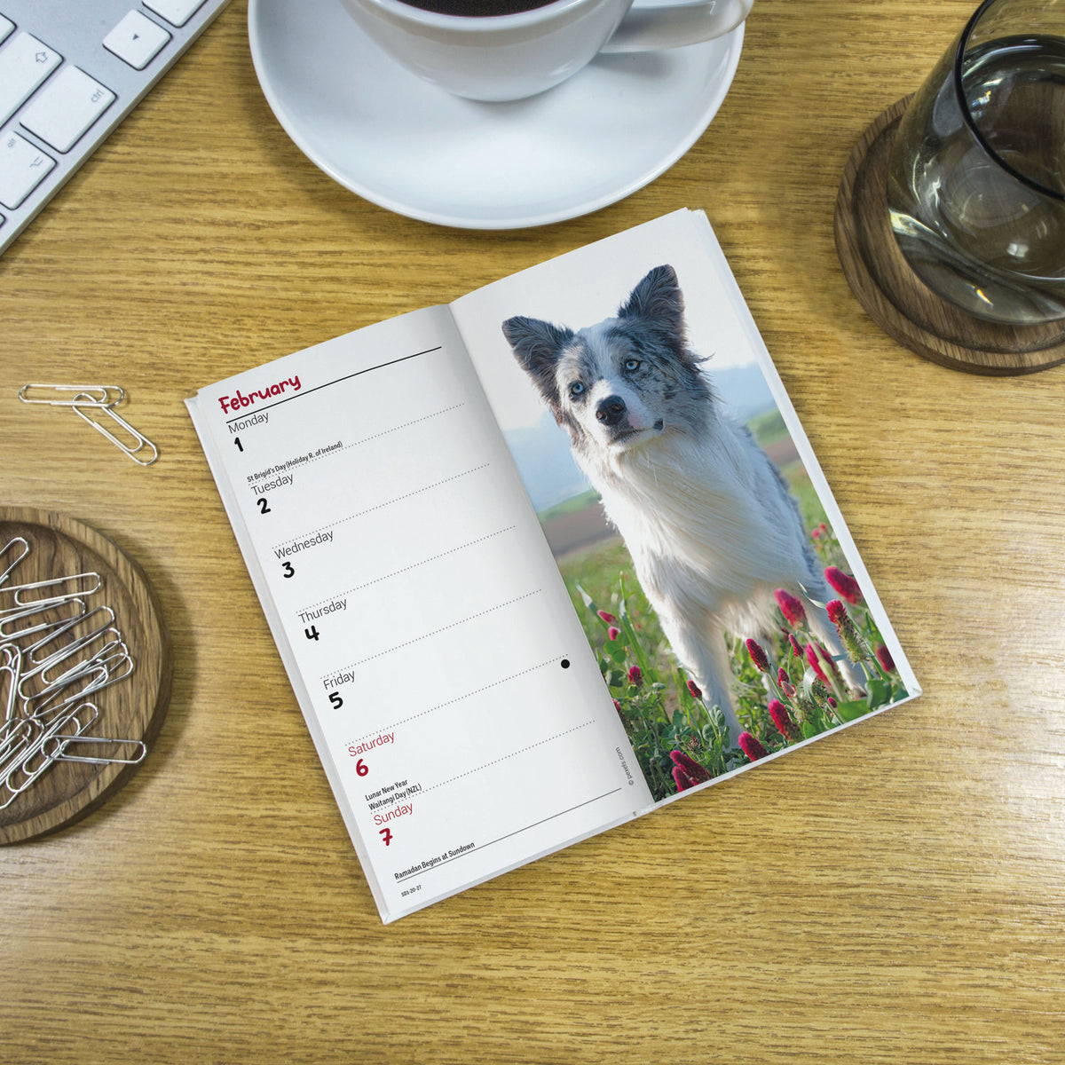 Border Collie slim diary 2027
