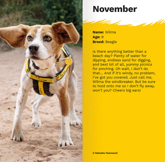 Dogs Trust slim diary 2027