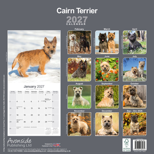 Cairn Terrier wall calendar 2027