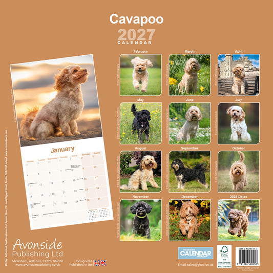Cavapoo wall calendar 2027