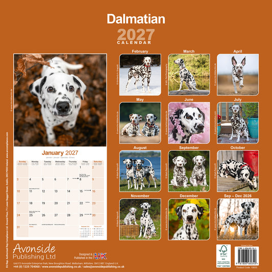 Dalmatian wall calendar 2027