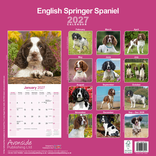 English Springer Spaniel wall calendar 2027