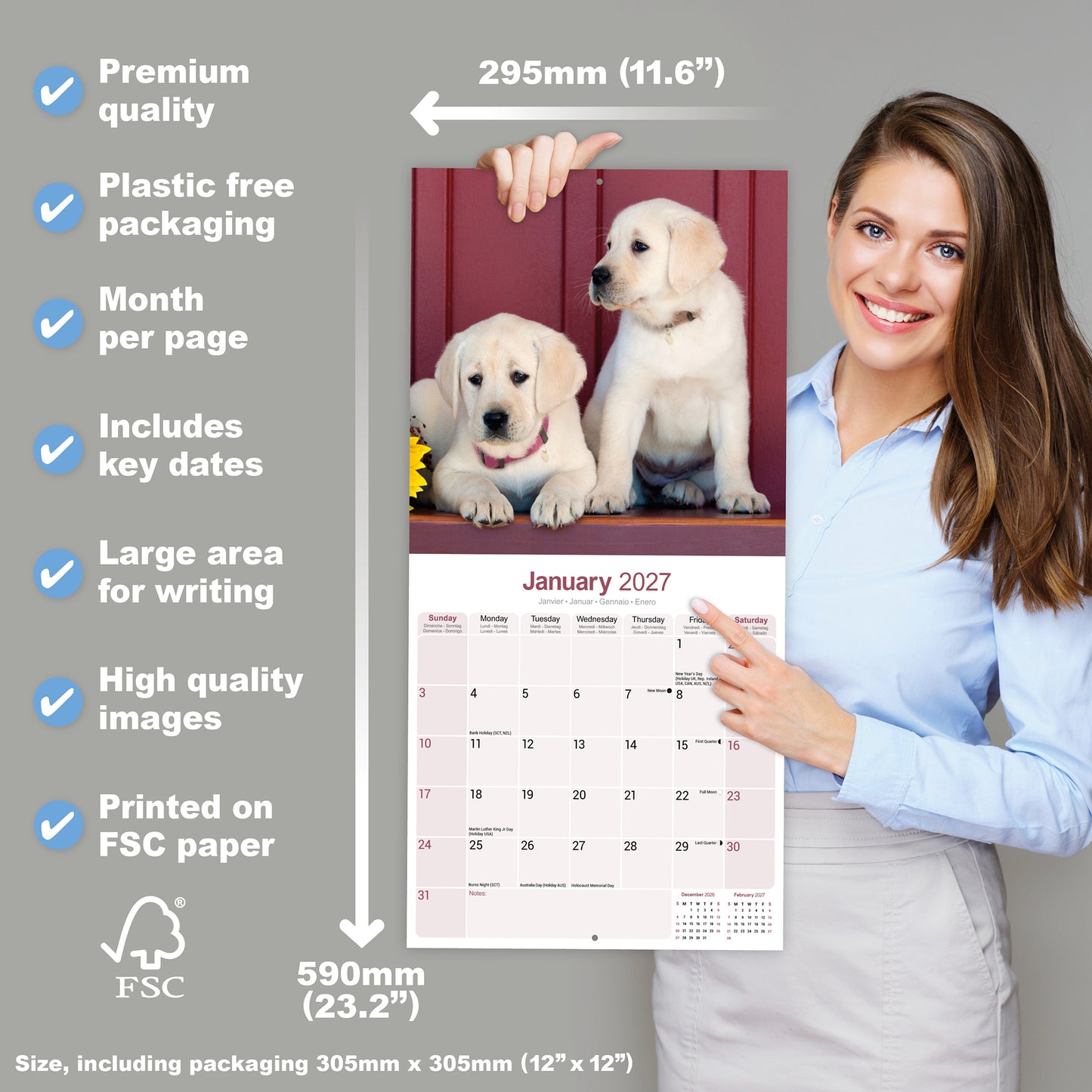 Yellow Labrador Retriever wall calendar 2027