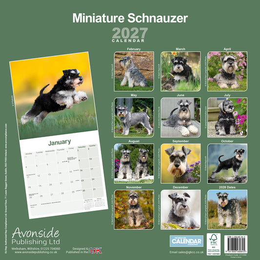 Miniature Schnauzer wall calendar 2027