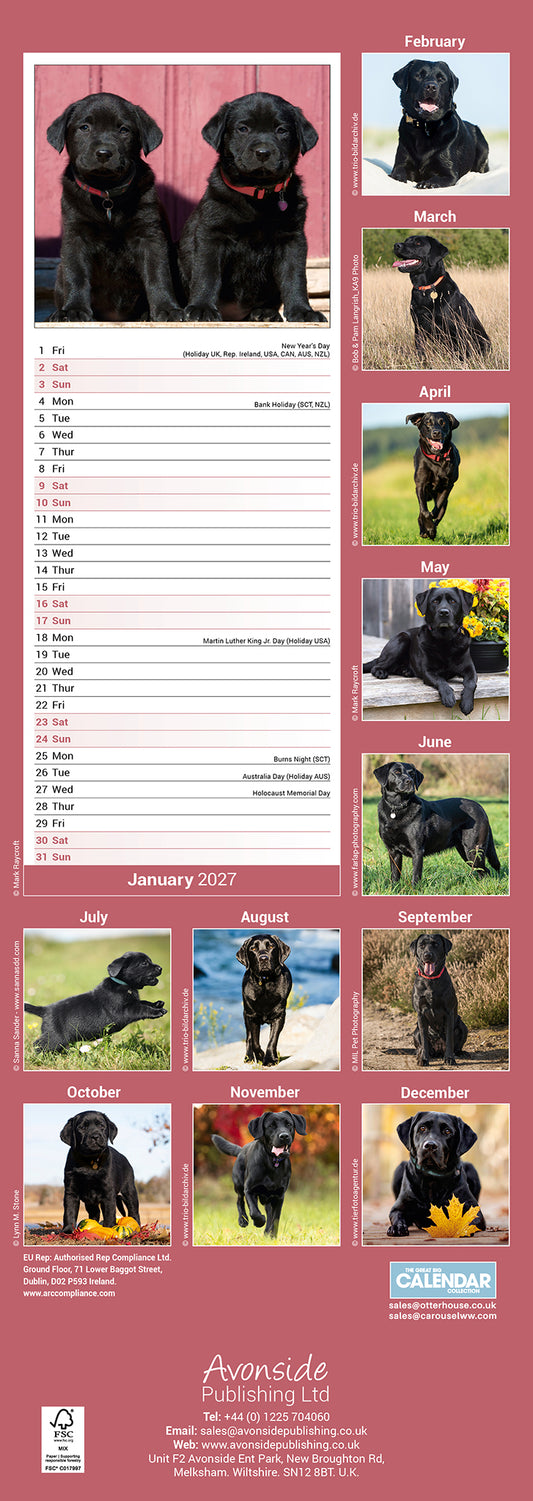 Black Labrador Retriever slim calendar 2027