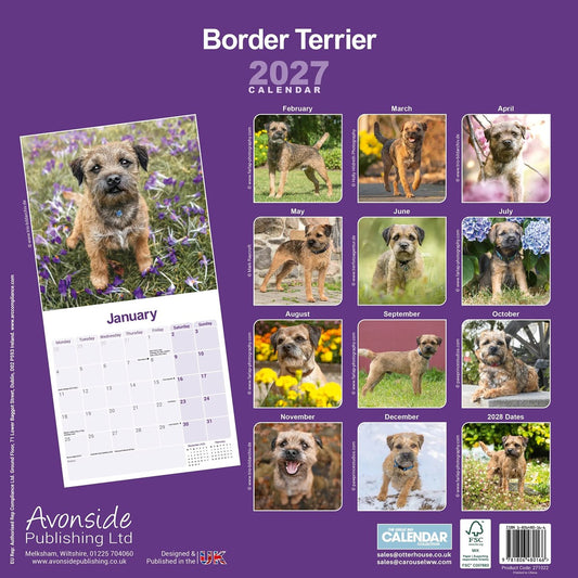 Border Terrier wall calendar 2027