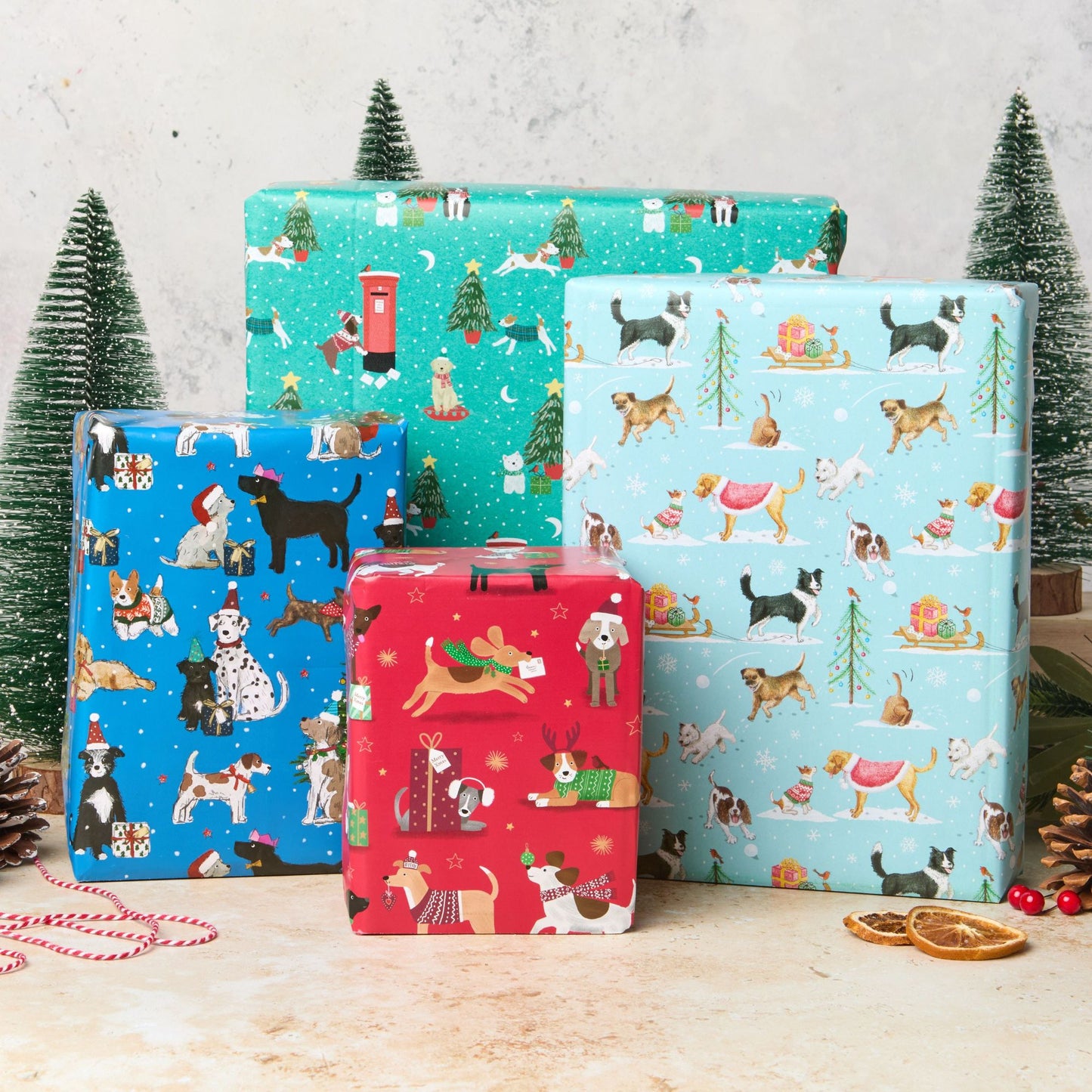 Bumper christmas dog wrap pack