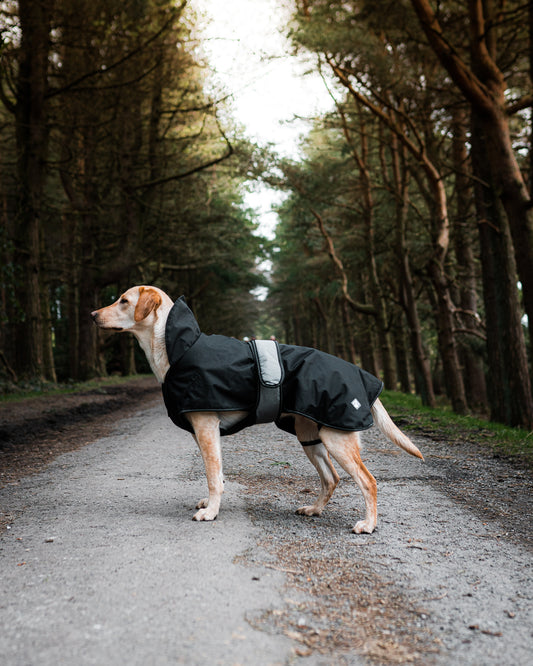 The Ultimate 2 in 1 Dog Coat - Black